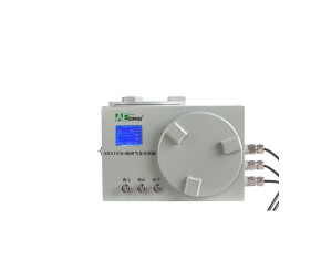 順磁氧氣分析儀